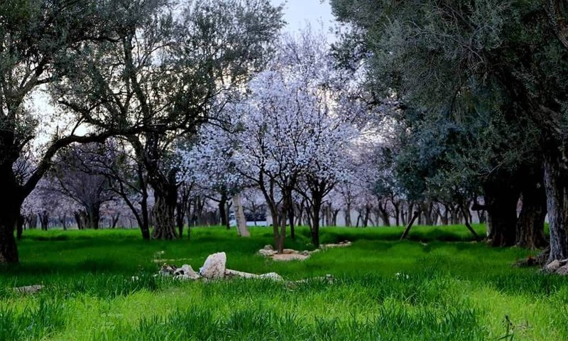 سنتر المدينة في دوما.. فرصة استثمارية في قلب الغوطة الشرقية