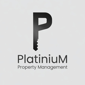 Platinium Holding